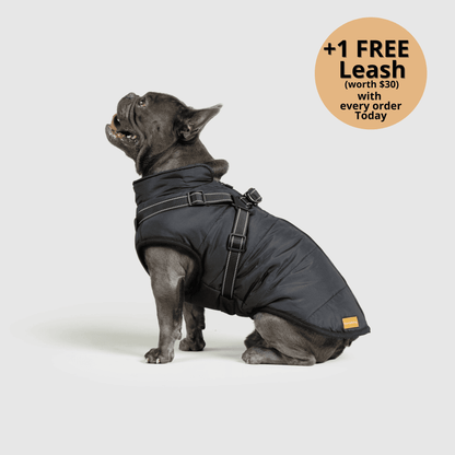 FurryKing 3 in 1 Winter Jacket